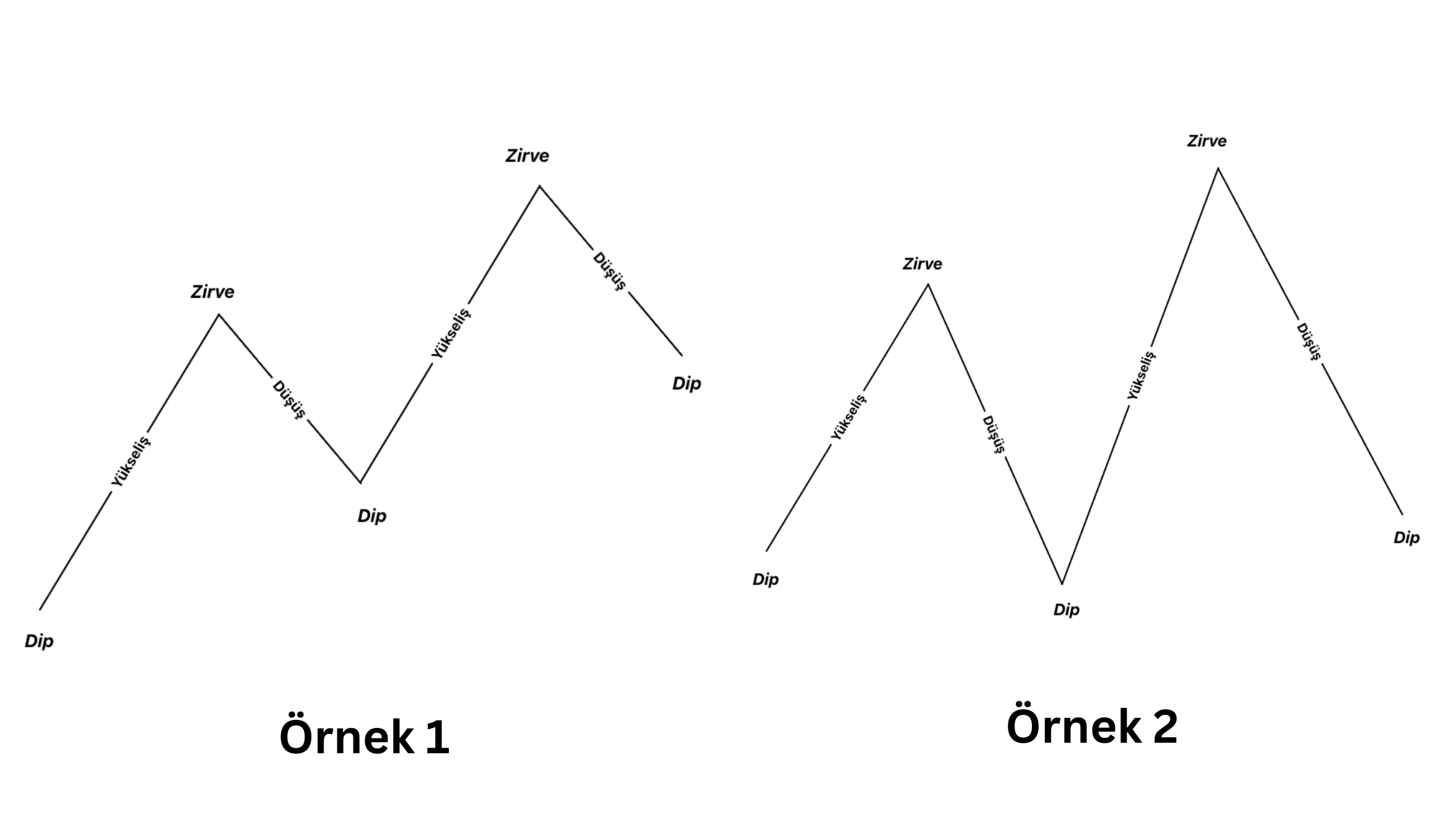 RIGHT / LEFT TRANSLATED CYCLE NEDİR?